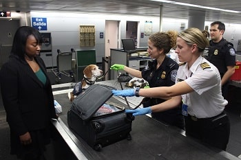 Customs Clearance